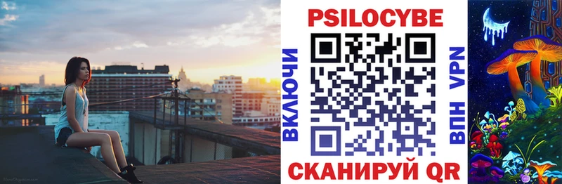 купить  сайты  Кашира  Псилоцибиновые грибы Psilocybine cubensis 